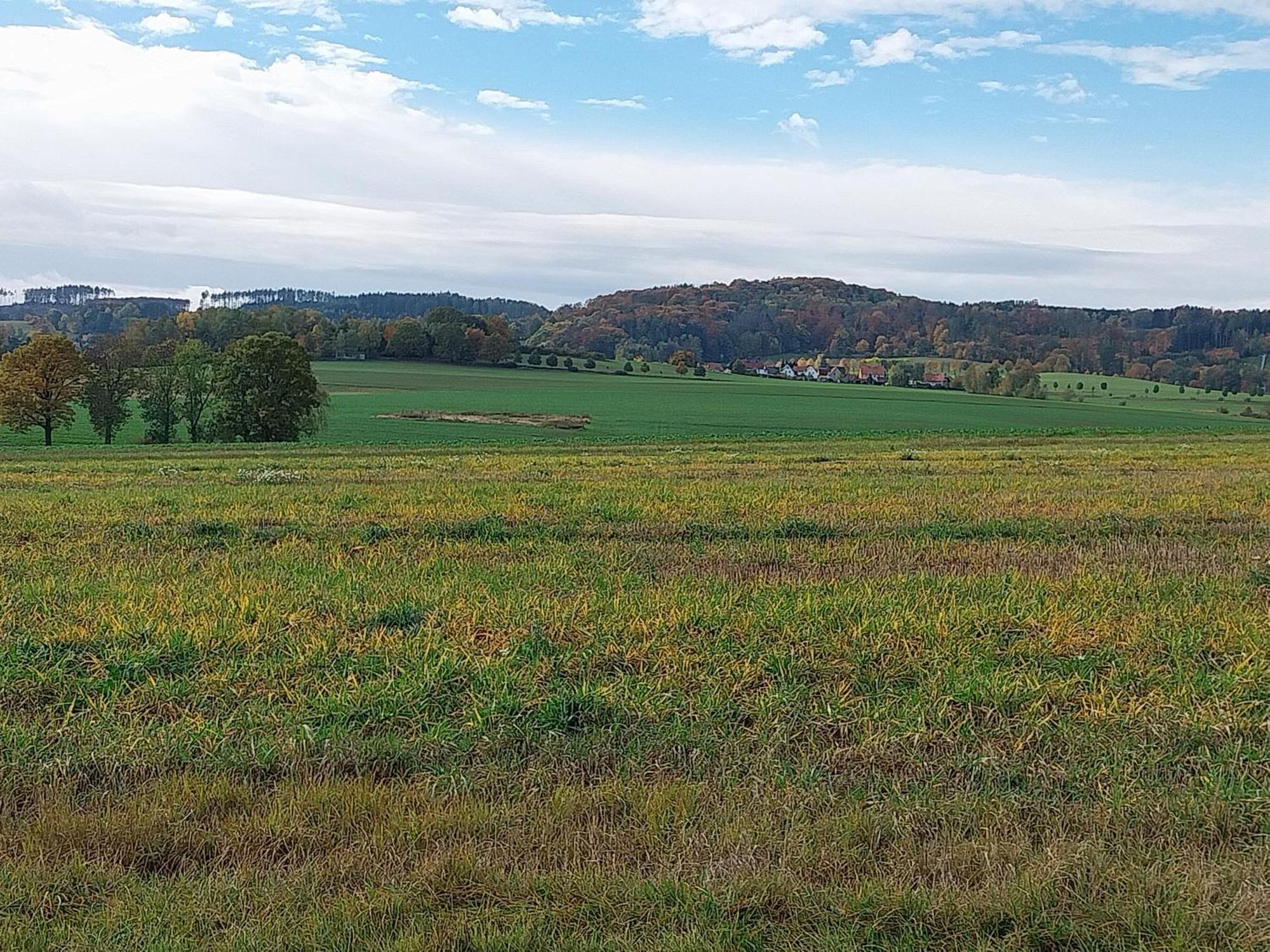 Landhotel Waldschloesschen Mit Gaststube Sohland an der Spree Bagian luar foto