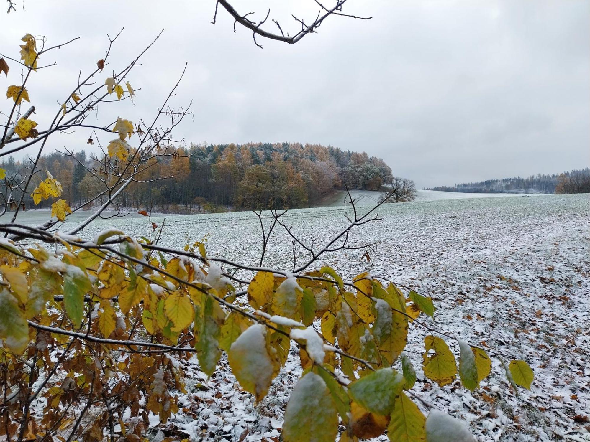 Landhotel Waldschloesschen Mit Gaststube Sohland an der Spree Bagian luar foto