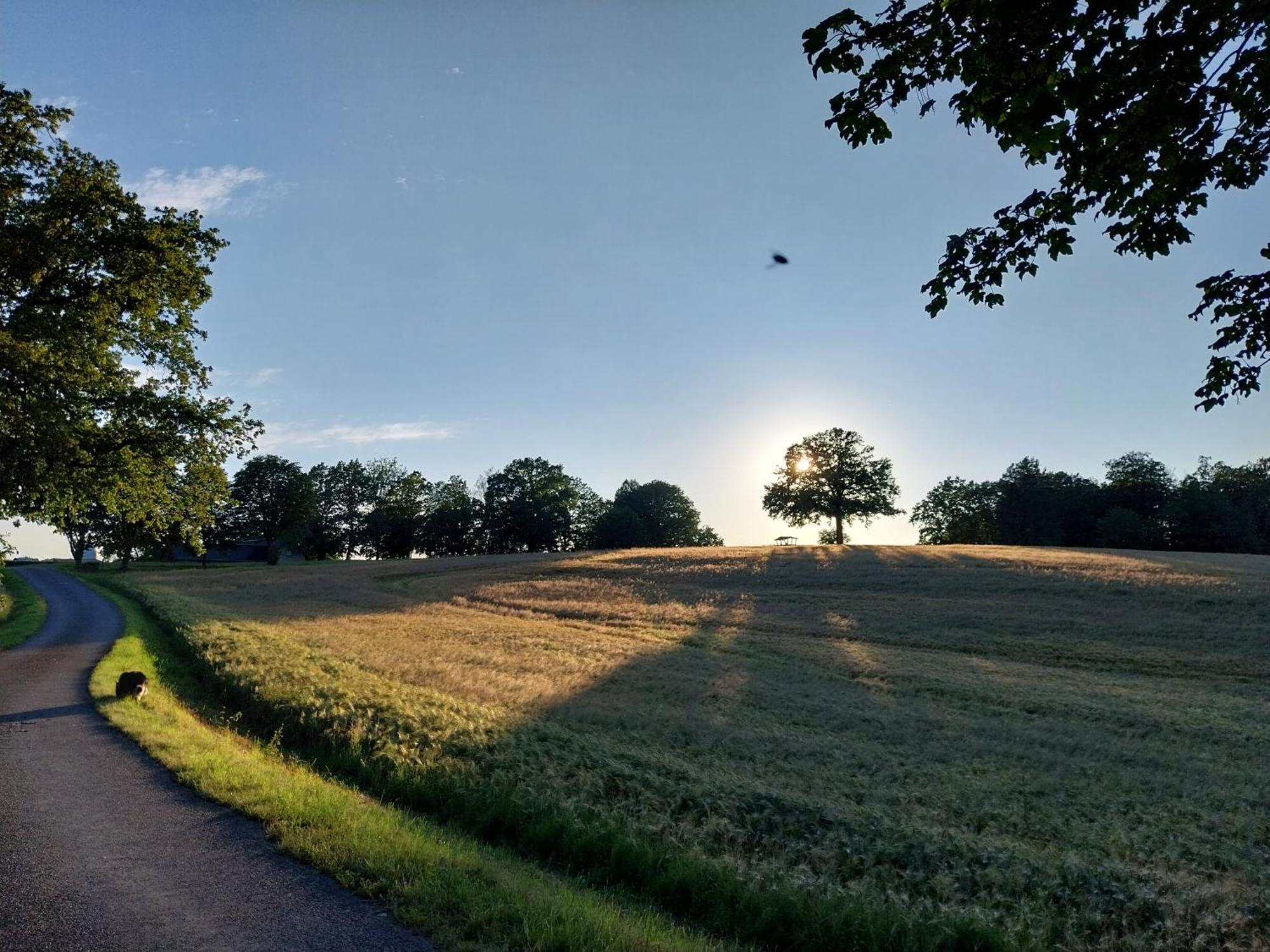 Landhotel Waldschloesschen Mit Gaststube Sohland an der Spree Bagian luar foto